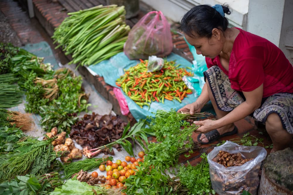 market vegetable seller in Luang Prabang, Laos