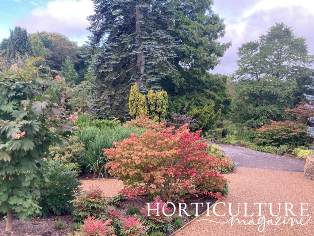 RHS Harlow Carr rock garden with red, green and yellow plants growing in abundance in borders