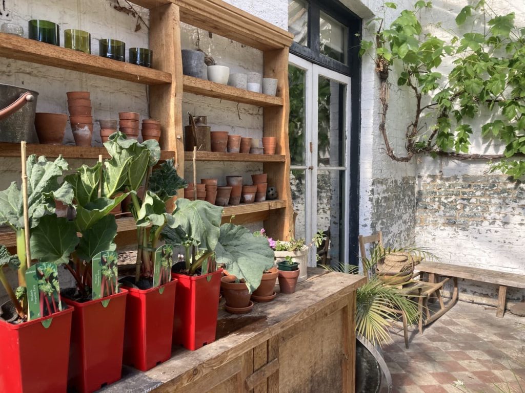 Sonya's potting shed with some potted vegetables growing in small red containers