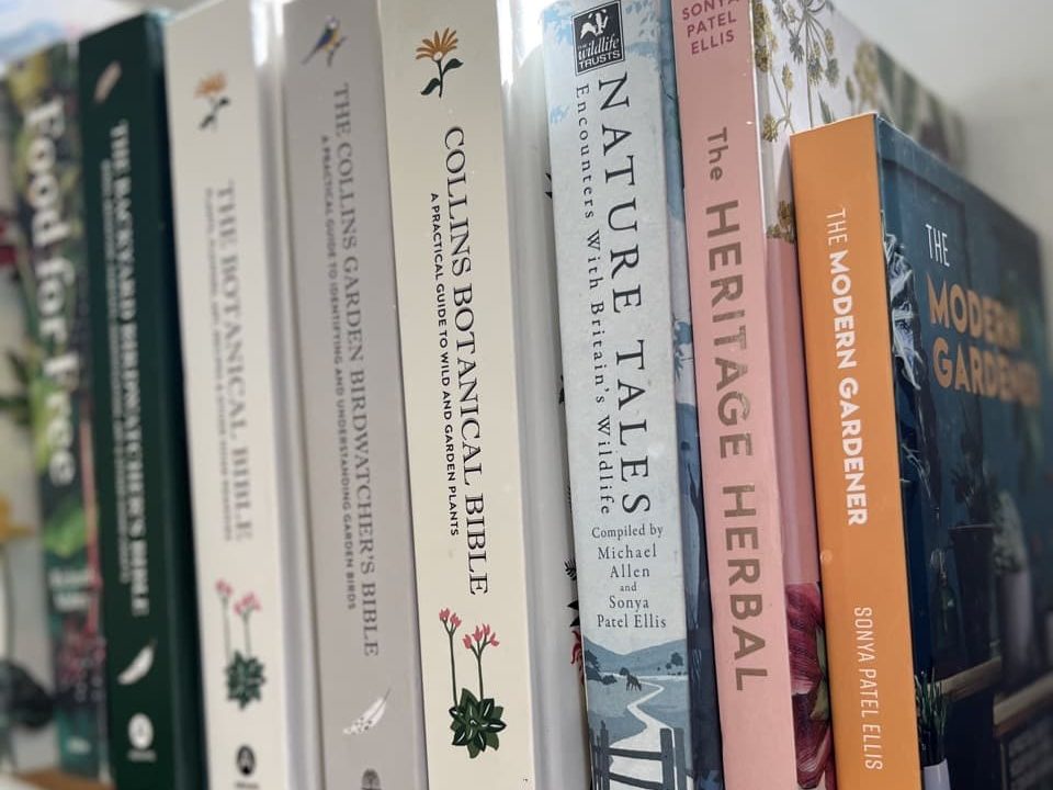 colourful hardback books all written by Sonya Patel Ellis