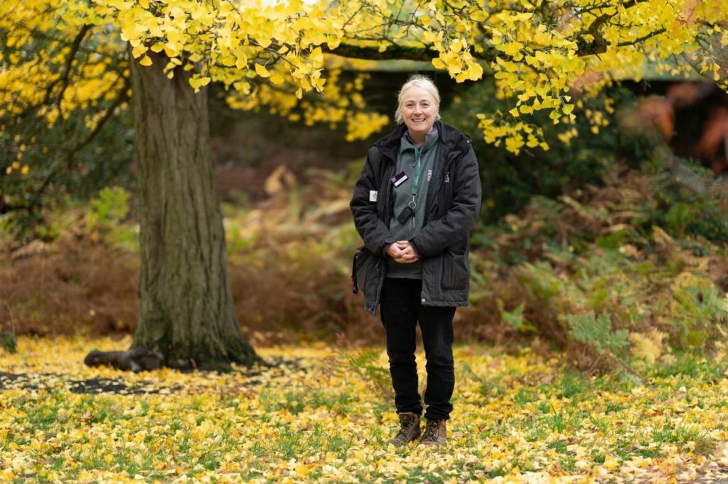 golden foliage fallen from a large tree covering the ground with Lucy Hart stood beneath