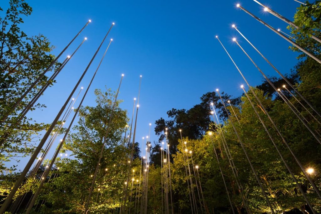 lights at the top of poles amongst tall trees in the evening in a garden designed by Gavin McWilliam