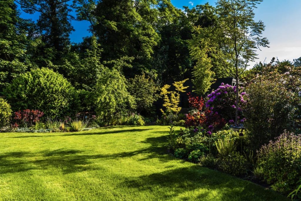 Jilayne's mowed lawn surrounded by colourful garden borders and large trees
