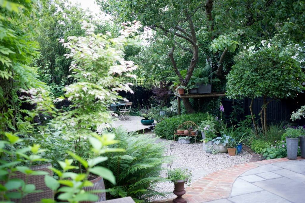 an urban garden filled with an abundance of green-leaved plants and a patio area