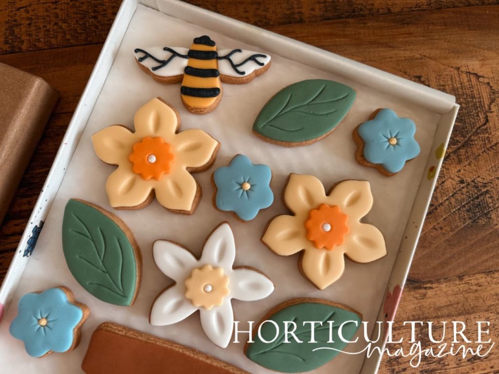 orange, white, blue and green iced flower shaped biscuits from Honeywell