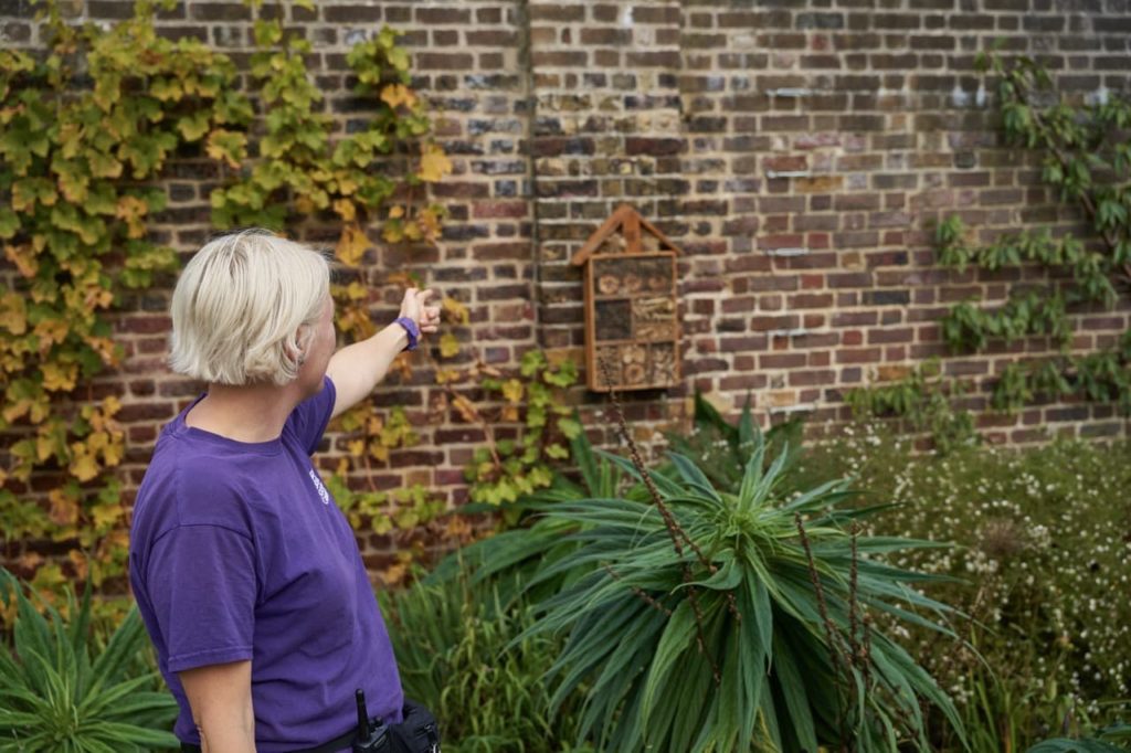 Lucy Hart showcasing a bug hotel attached to a wall