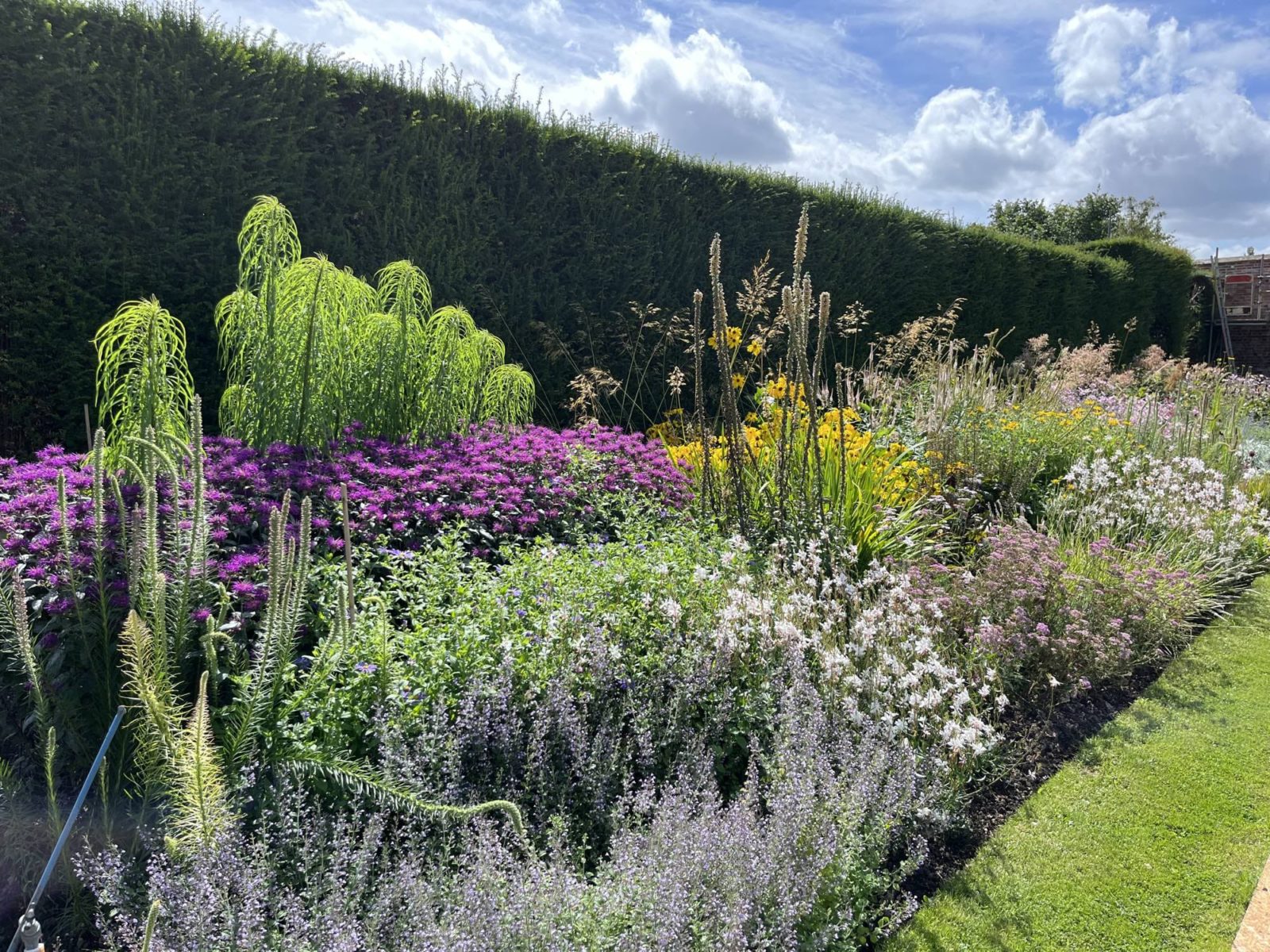 planting done by Todd Longstaffe-Gowan at Ramsbury Manor in Wiltshire