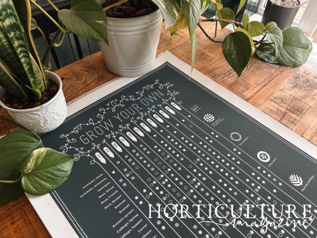 black grow your own print with white writing from bold & noble