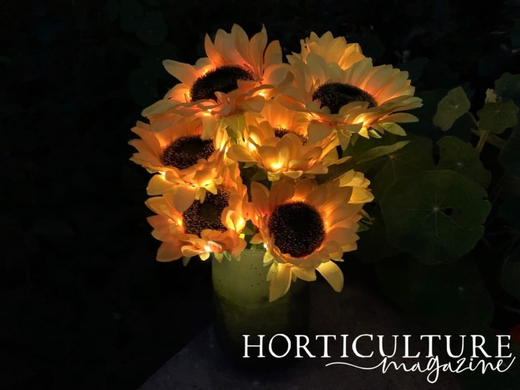 lit-up sunflower ornaments outside in a vase at night