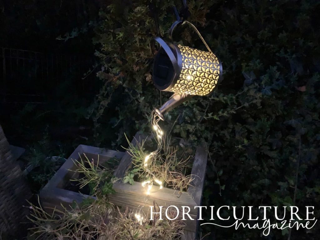 metal watering can ornament filled with fairy lights being suspended in the garden from a metal hook