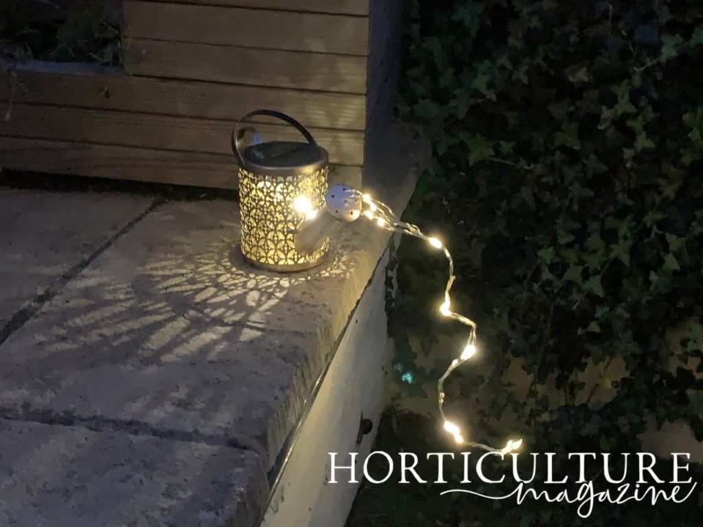 cascading effect caused by fairy lights coming out of an ornamental watering can sprout