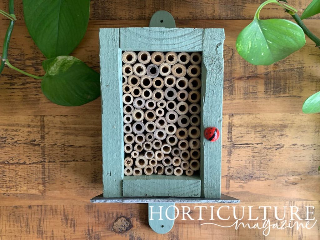 bamboo inside the wooden frame of an insect home
