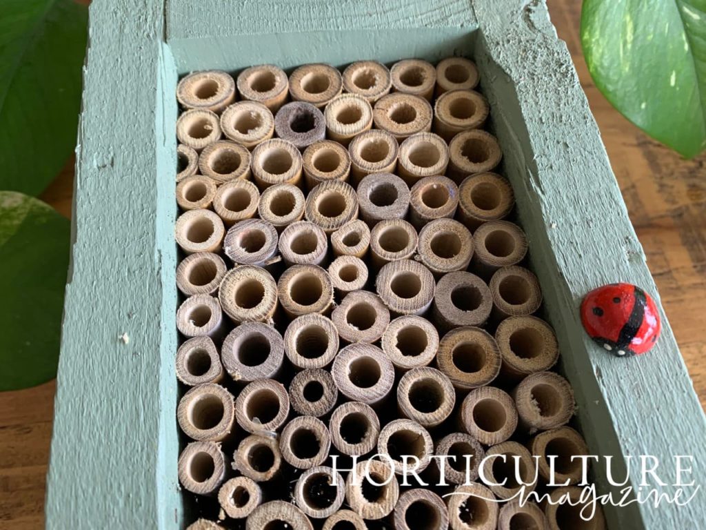 a close-up shot of the bamboo holes in a bug hotel surrounded by a blue wooden frame