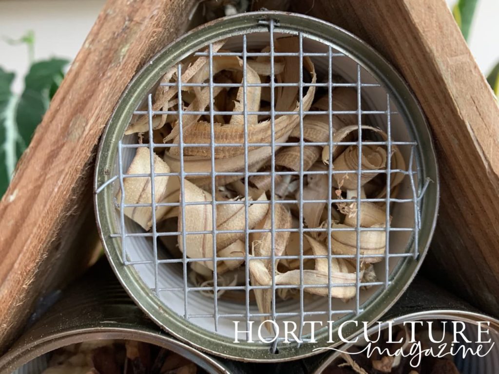 a recycled tin in the bug home with wood shavings inside