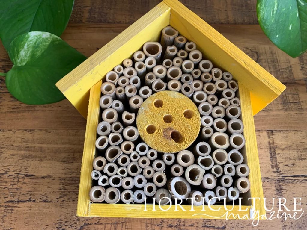 bamboo bee hotel with the exterior painted bright yellow