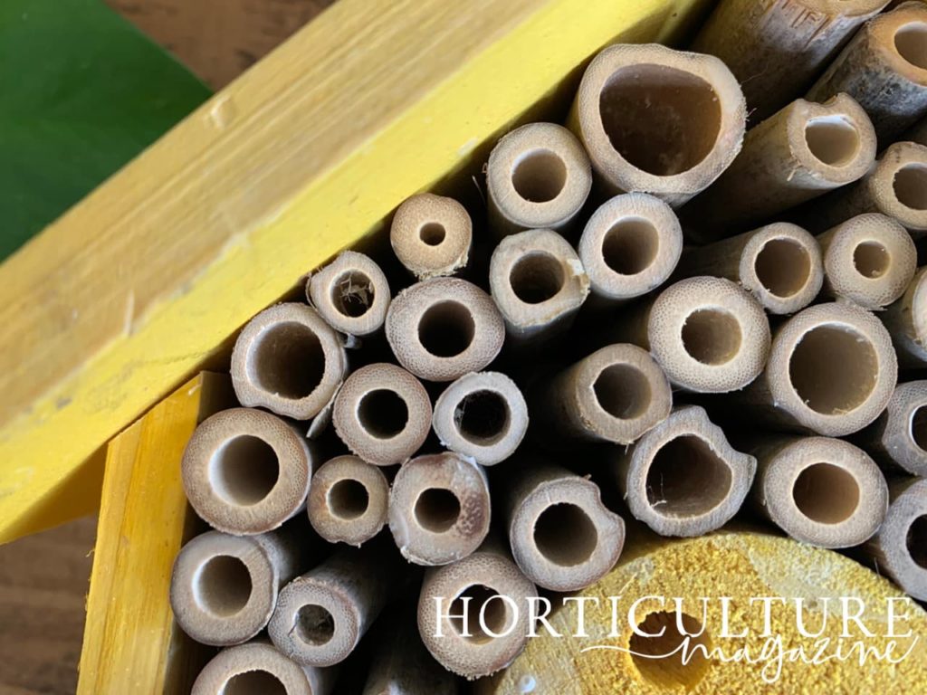 close-up of the hollowed bamboo of an insect hotel that has been painted yellow on the outside