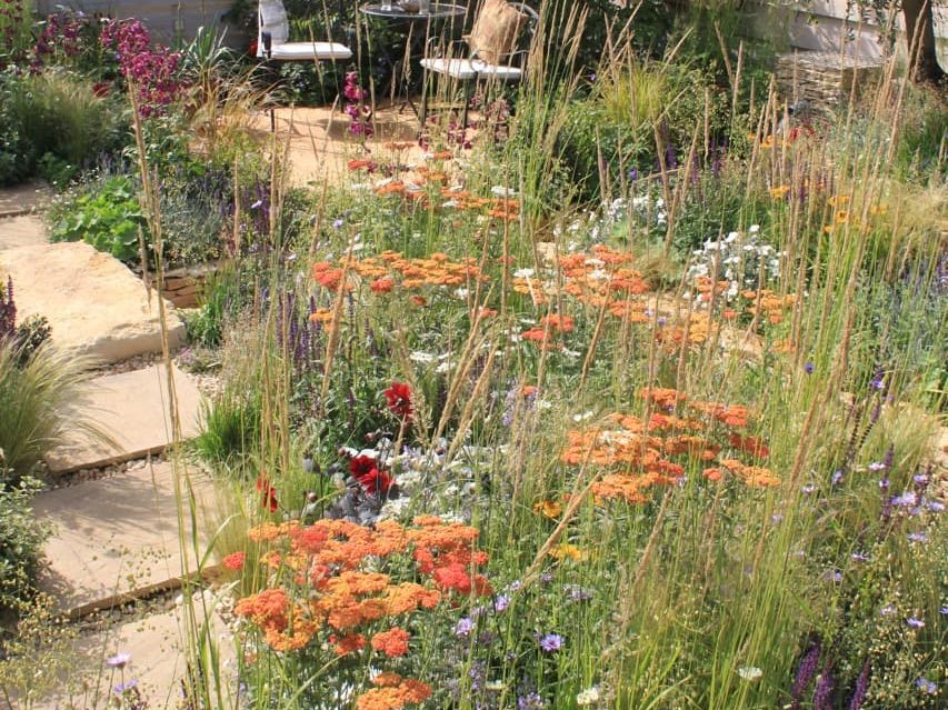orange wildflowers growing next to a patio in a small outdoor seating area