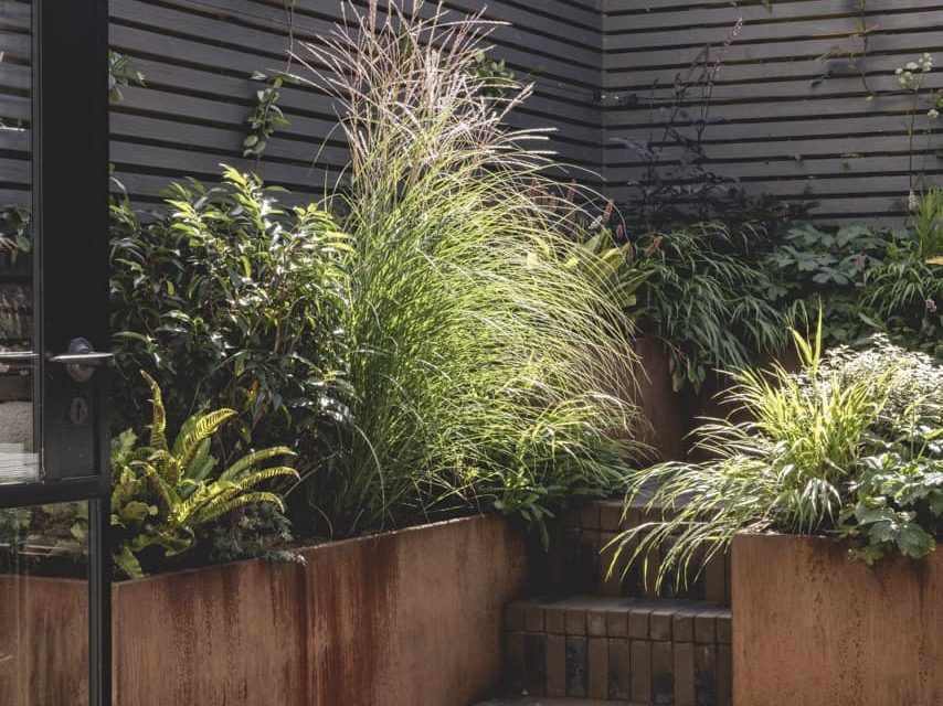 raised metal beds with grasses and ferns growing in a garden designed by Lottie