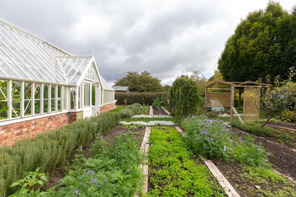 the Garden Organic outdoor beds with rows of vegetables planted in it in front of a glasshouse