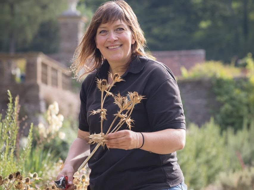 Claire Greenslade with some dried Eryngium holding them up to the camera