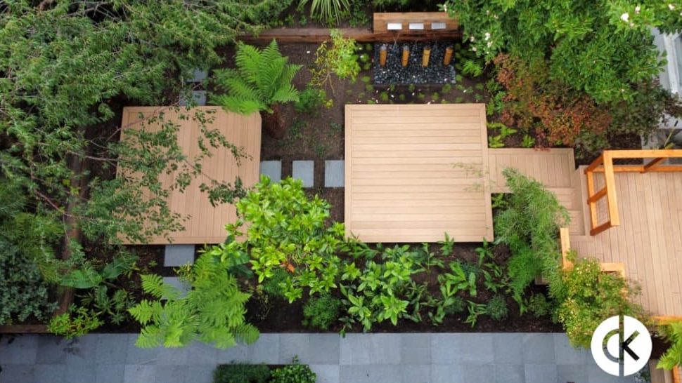 bird's eye view of decking and green foliage plants in a tropical garden