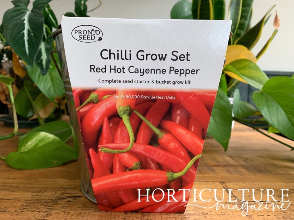 red hot cayenne pepper chilli grow set bucket from pronto seed