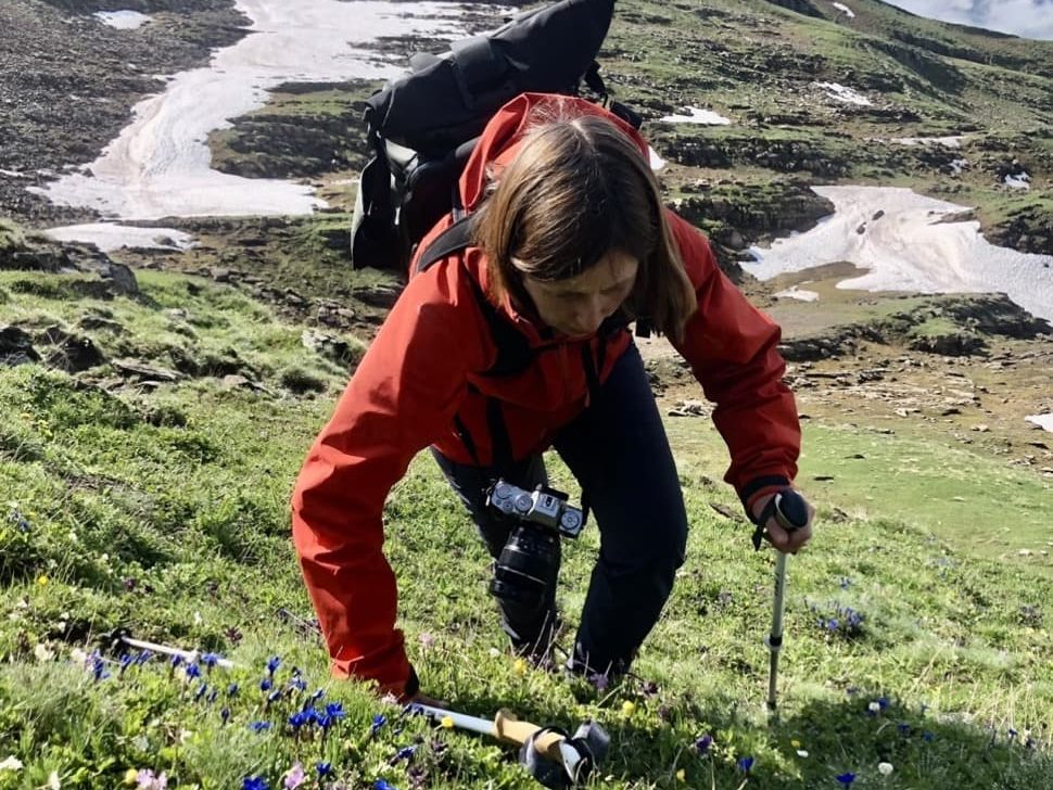 Non wildflower hunting in the alps