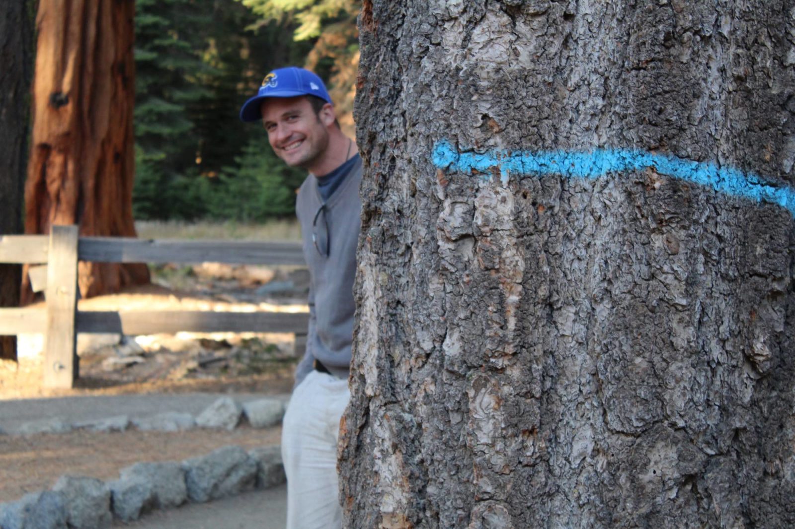 Matt Haddon peaking around a tree