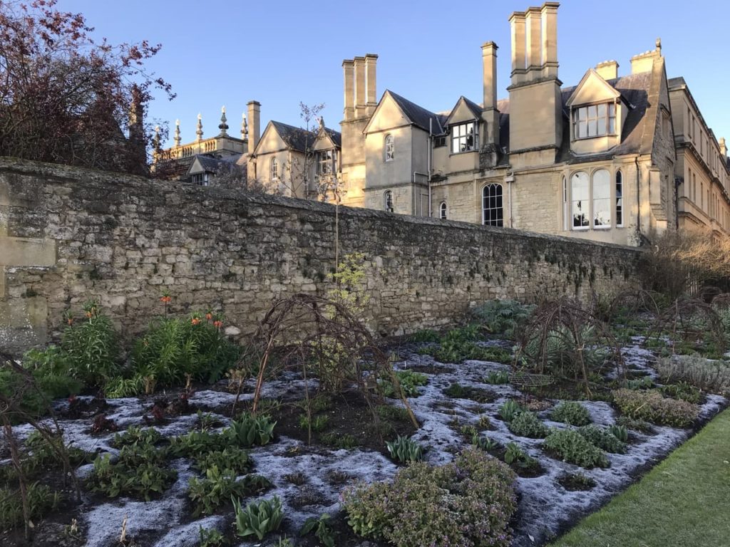 frosted-over borders in front of an old brick wall at Oxford Trinity College gardens