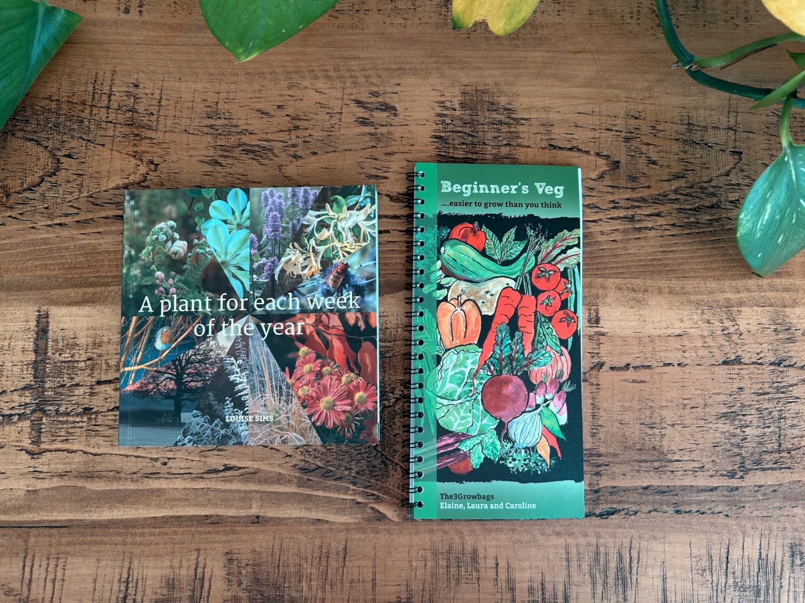 Beginner’s Veg books by the 3 growbags sat on a wooden surface