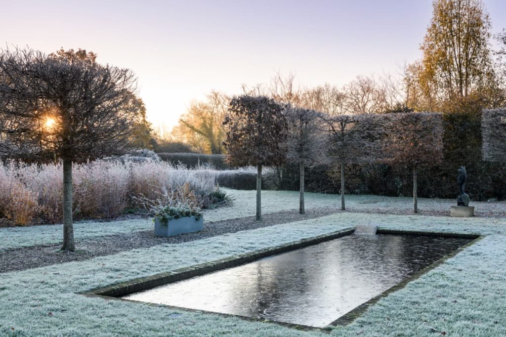 a rectangular garden pond surrounded by small trees and a mowed lawn covered in a layer of frost