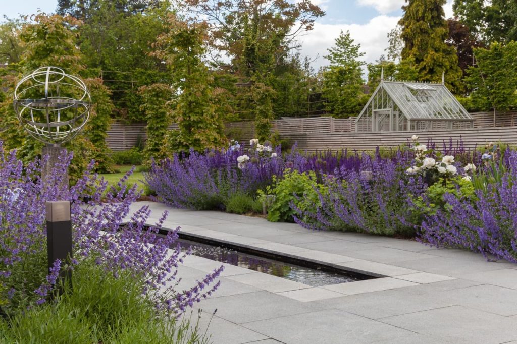 lots of lavender and rose bushes surrounding a small pond and paved area in an open garden
