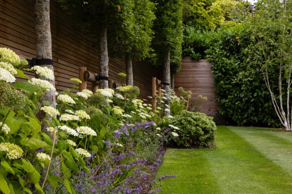 various flowering plants used in a border next to a lawn