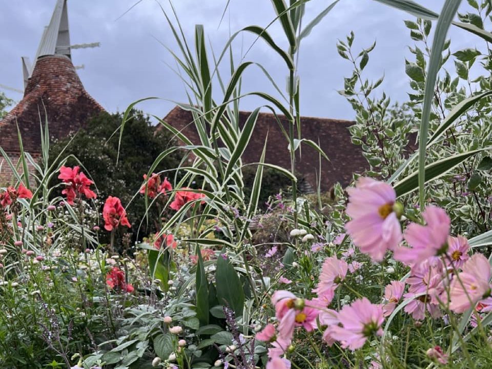 the floriferous borders at Great Dixter featuring pink cosmos and dogwood
