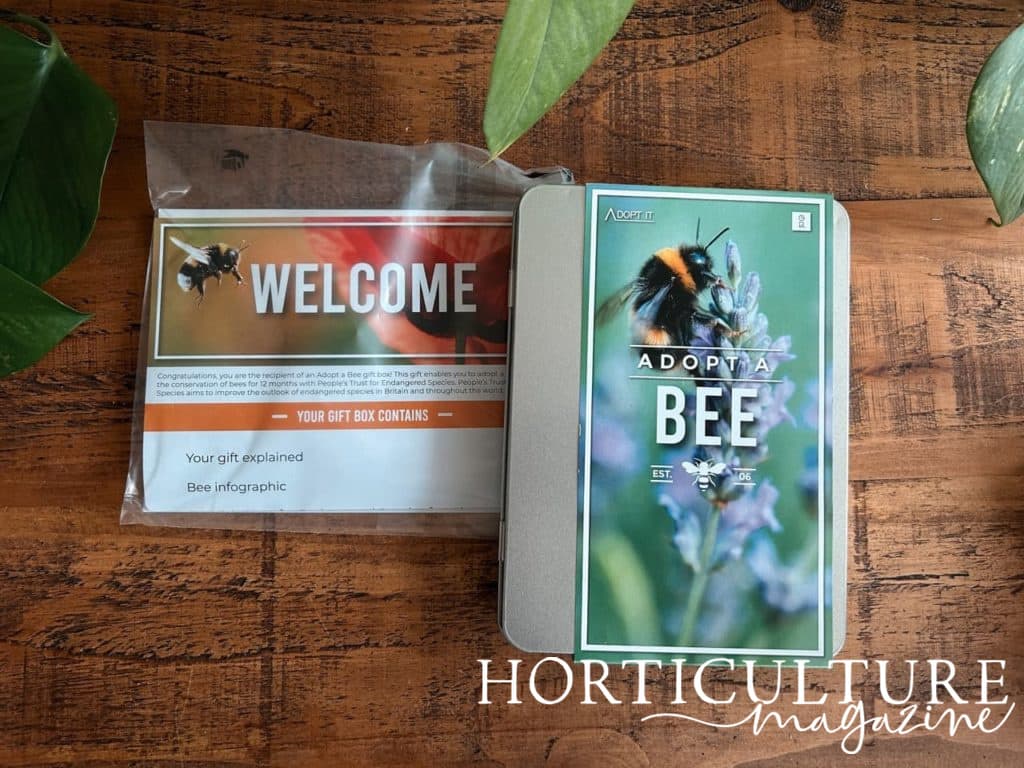 adopt a bee tin with the informational package alongside it