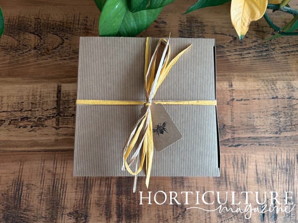 gift box with a yellow bow attached from Wuddl