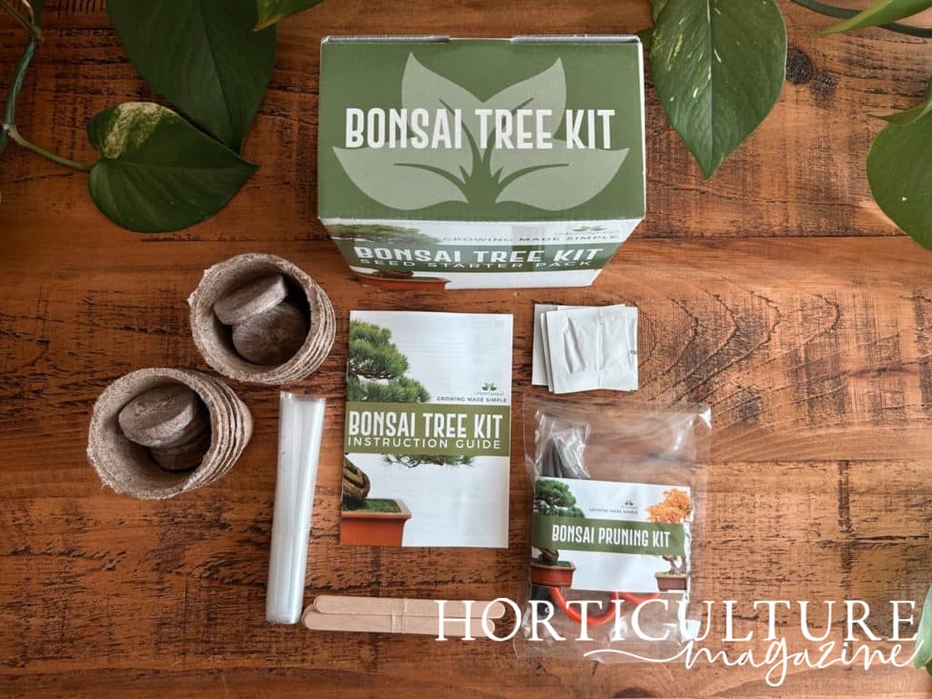 the contents of the bonsai tree kit displayed side by side on a table