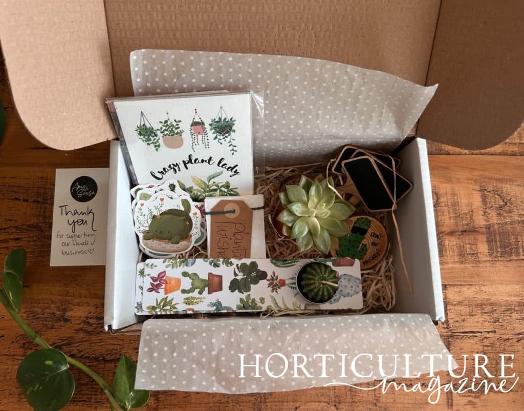 plant lover's box full of stickers, a print and a succulent amongst other accessories