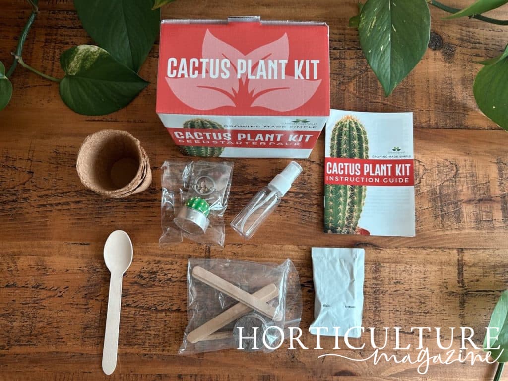 the contents of a cactus plant kit laid out on a wooden table