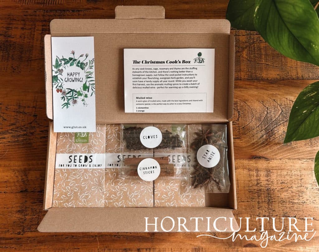 cloves, cinnamon sticks and star anise as well as other herbal seeds inside the kit