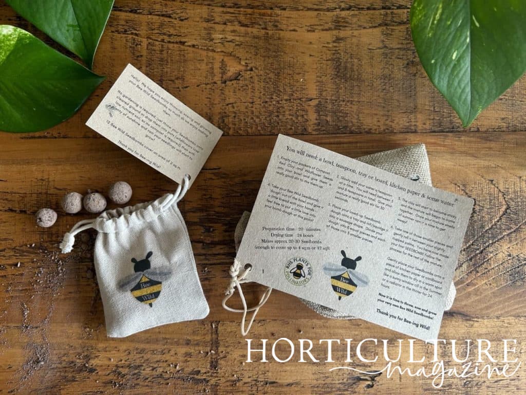 unwrapped bee bombs from BeeWild next to detailed instructions for how to use them