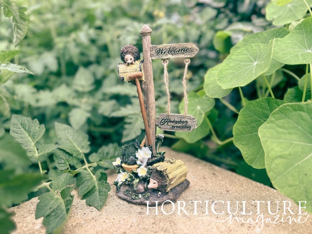 hedgehog ornament from FHFY Gardens on a stone slab outside surrounded by green foliage