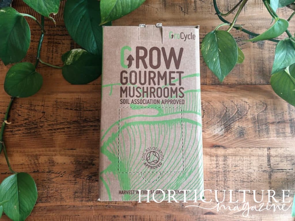 grow your own mushrooms box ready to be used 