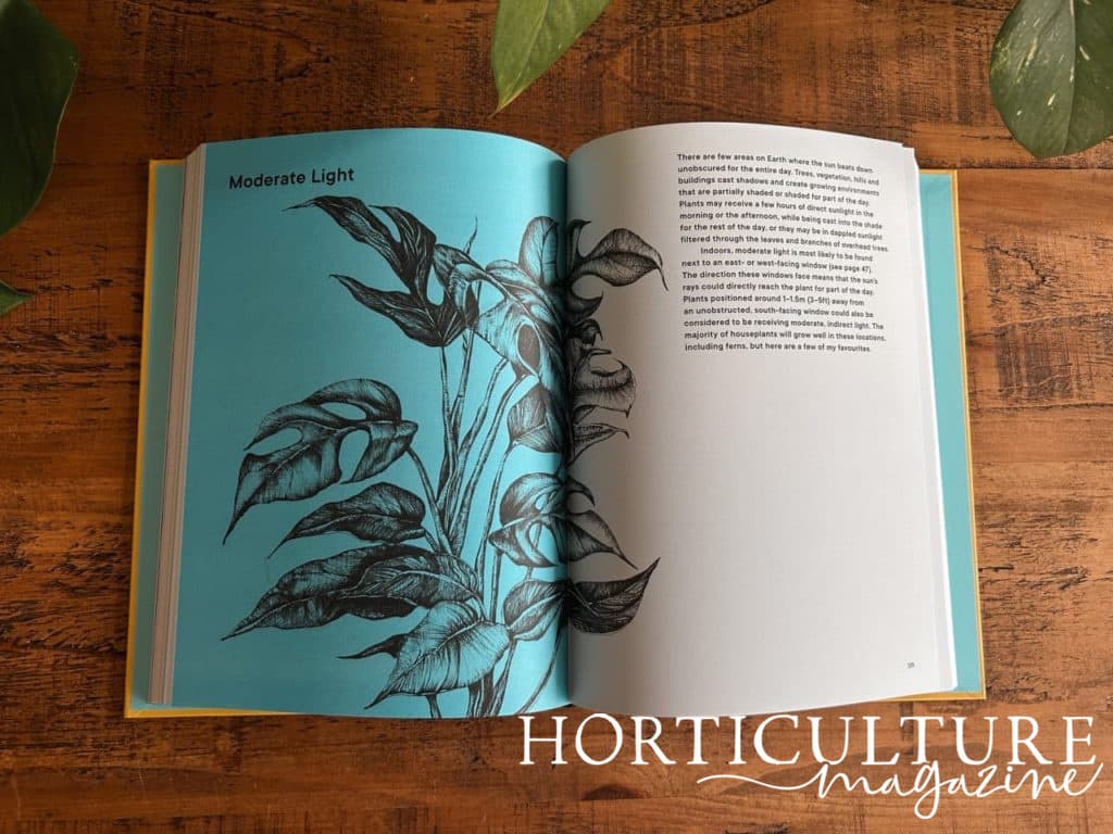 The Plant Rescuer book open on a page featuring an illustration of a swiss cheese plant