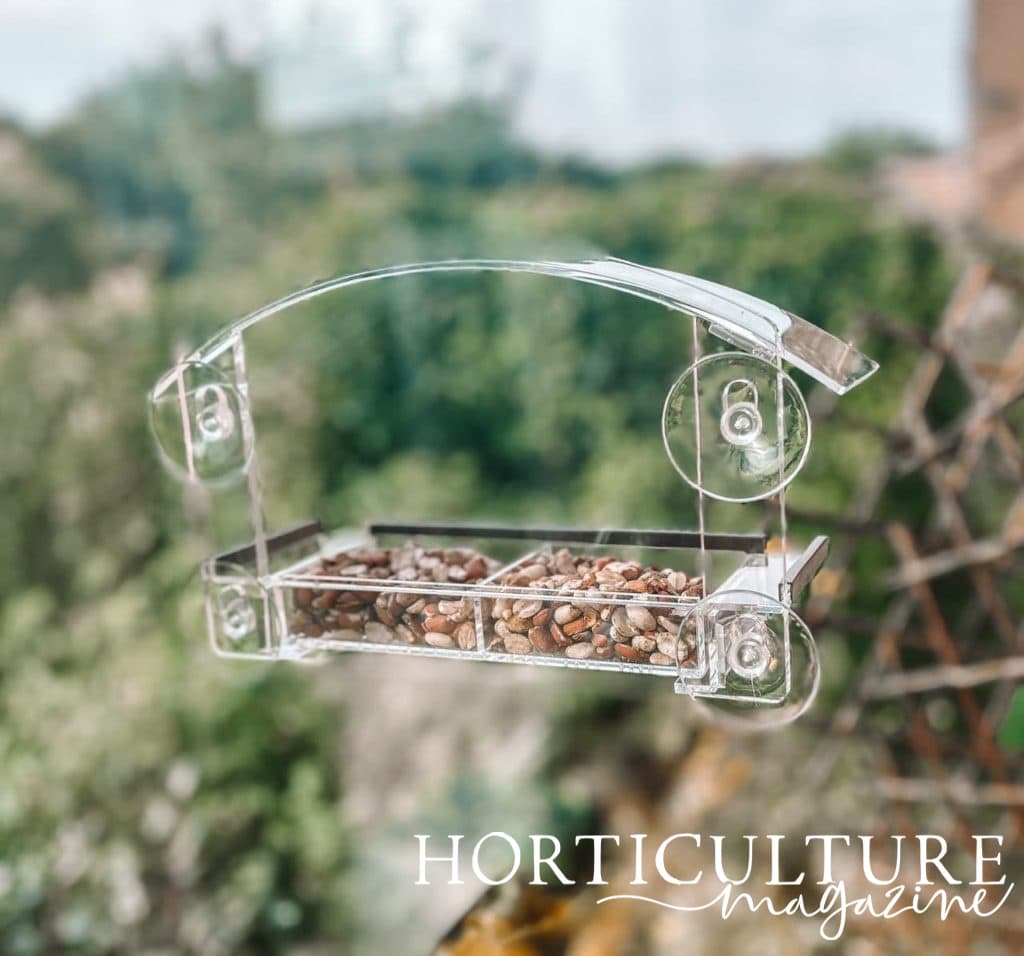 transparent bird feeder attached to a window and filled up with nuts