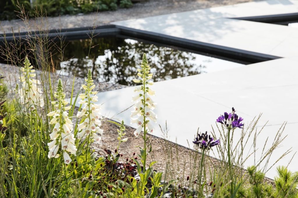 close up of the pond, patio and border foxgloves used at the Tatton Park show by Rob