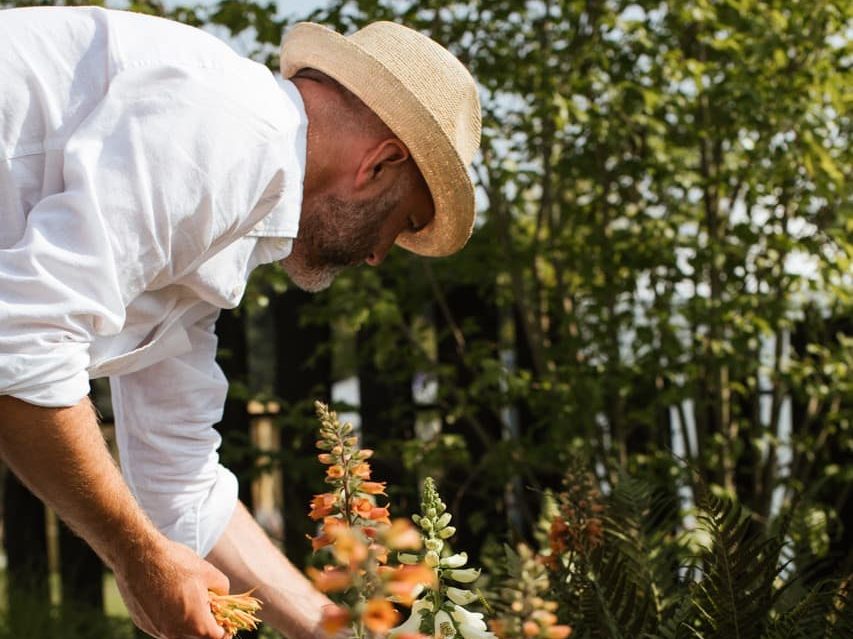 Rob Hardy tending to orange flowers in the garden