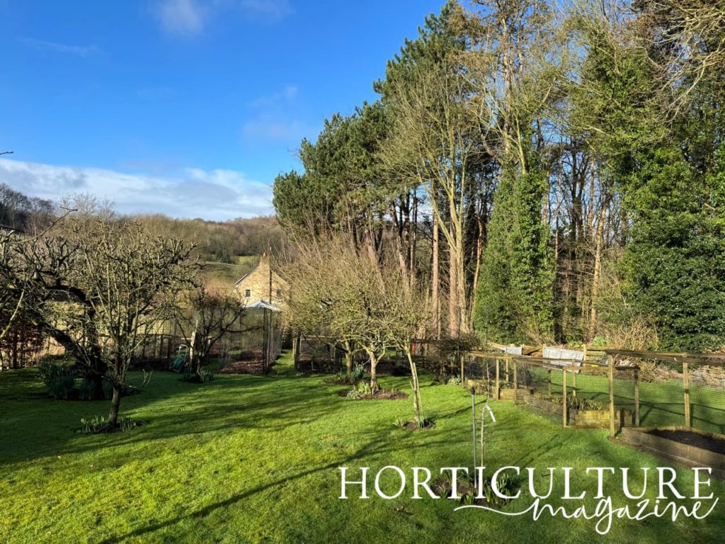 the garden at Chevin Brae with a grass lawn and vegetable cages