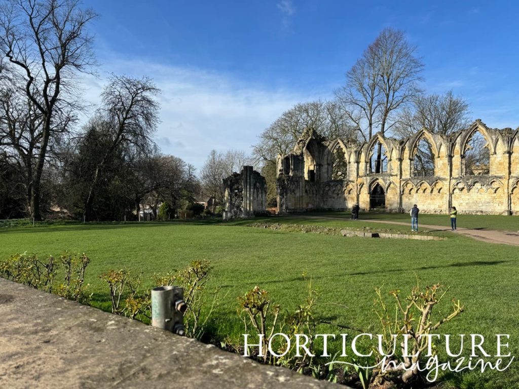 the ruins of St Mary's Abbey on the grounds of York Museum Gardens