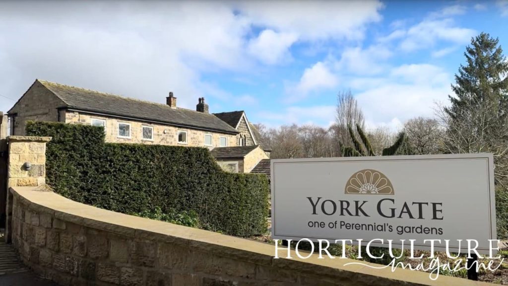 the entrance way to York Gate Gardens with the cafe in the background